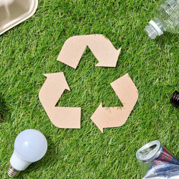 Zrównoważona motoryzacja: Jak samochody wpływają na środowisko i co się zmienia?